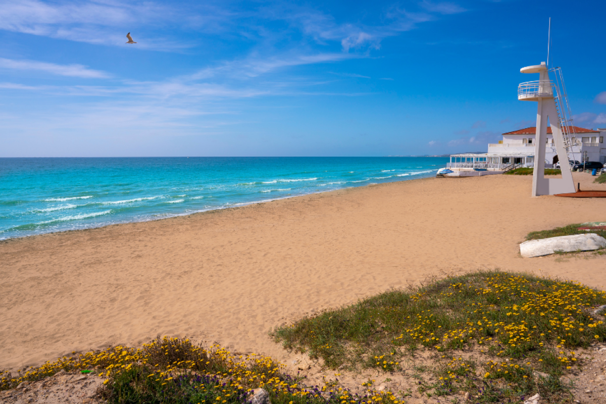 Playa-del-Pinet-Elche